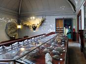 galerie de paleontologie et de anatomie comparee 5-2013 1326